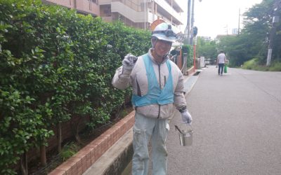 明けたのか？梅雨☂